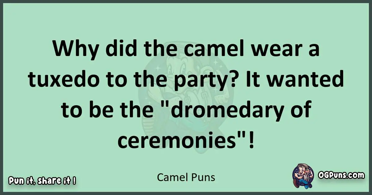 wordplay with Camel puns