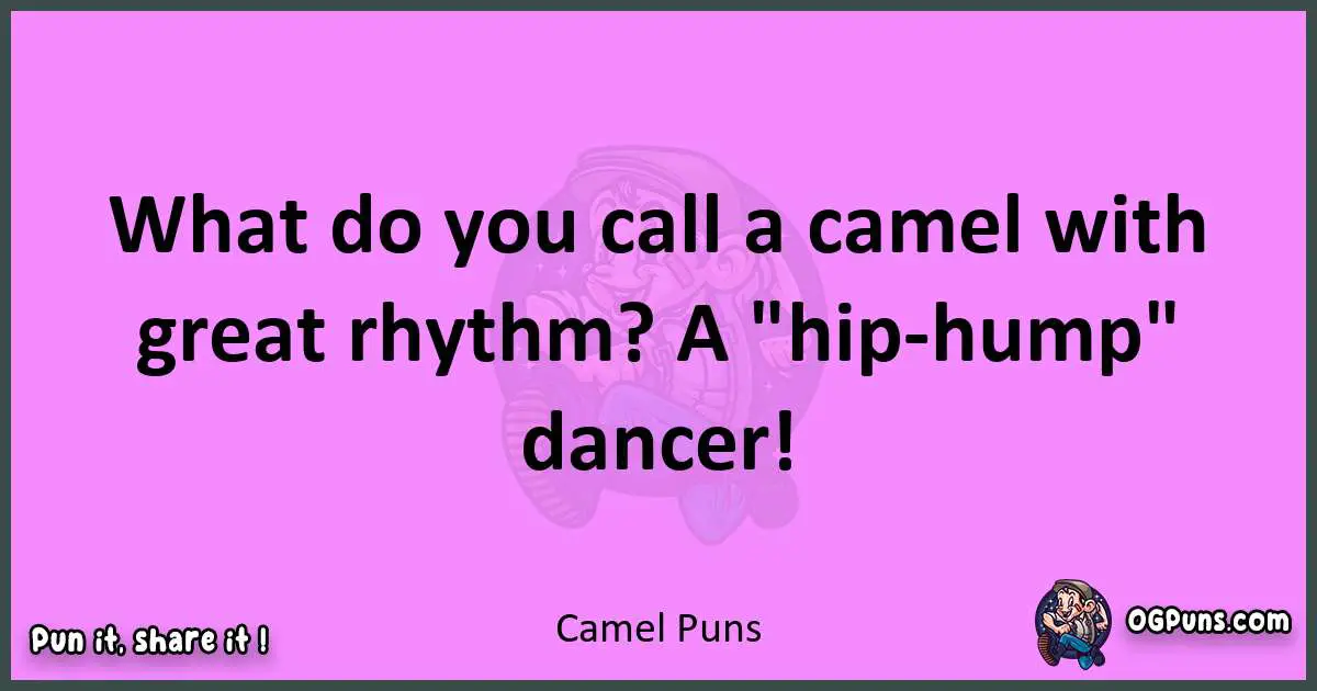 Camel puns nice pun