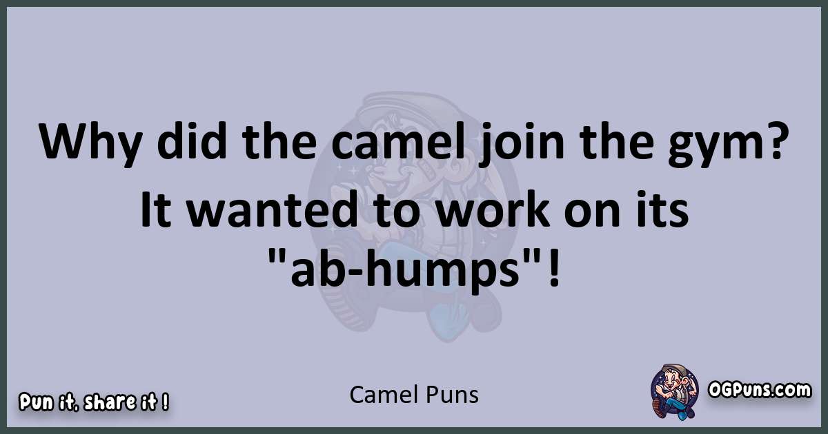 Textual pun with Camel puns