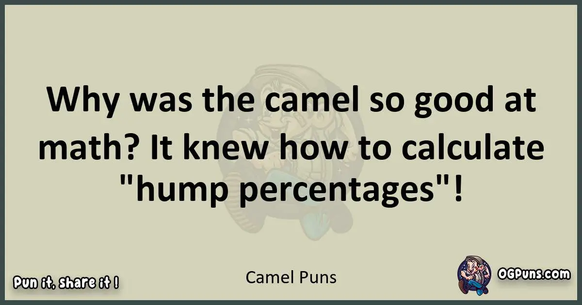 Camel puns text wordplay