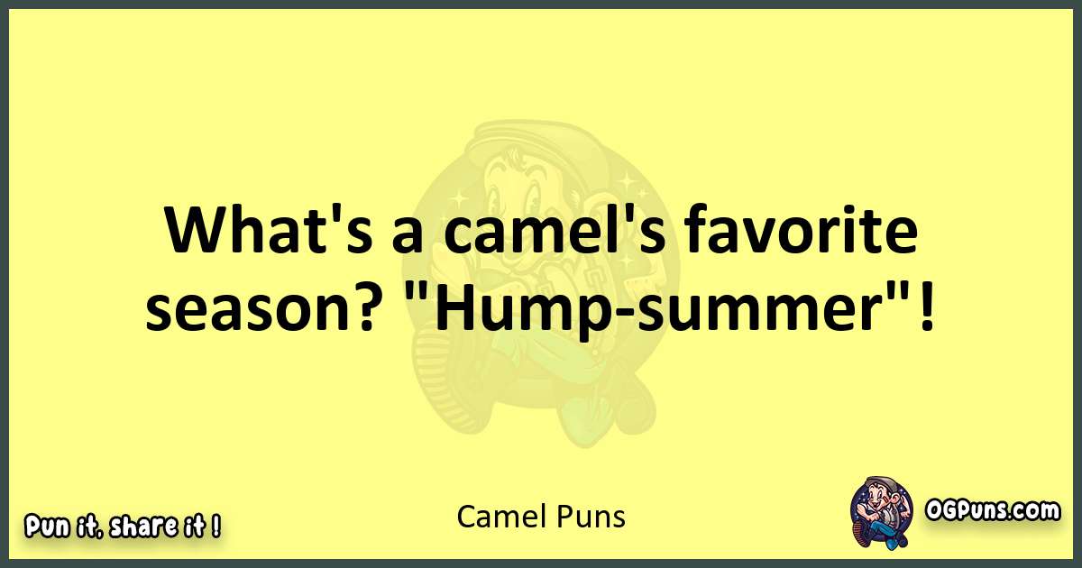 Camel puns best worpdlay