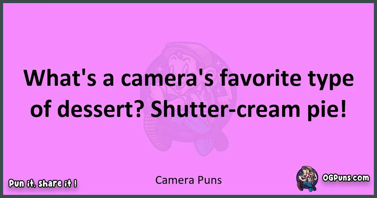 Camera puns nice pun