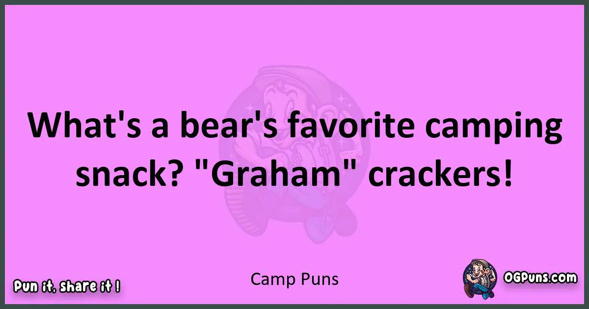 Camp puns nice pun