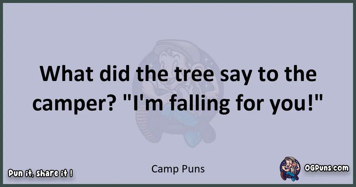 Textual pun with Camp puns