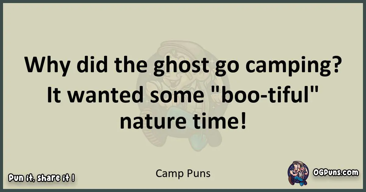 Camp puns text wordplay