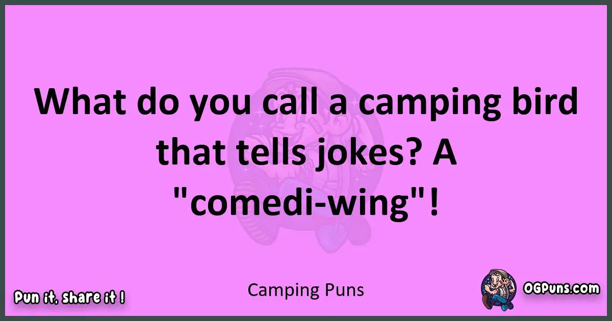 Camping puns nice pun