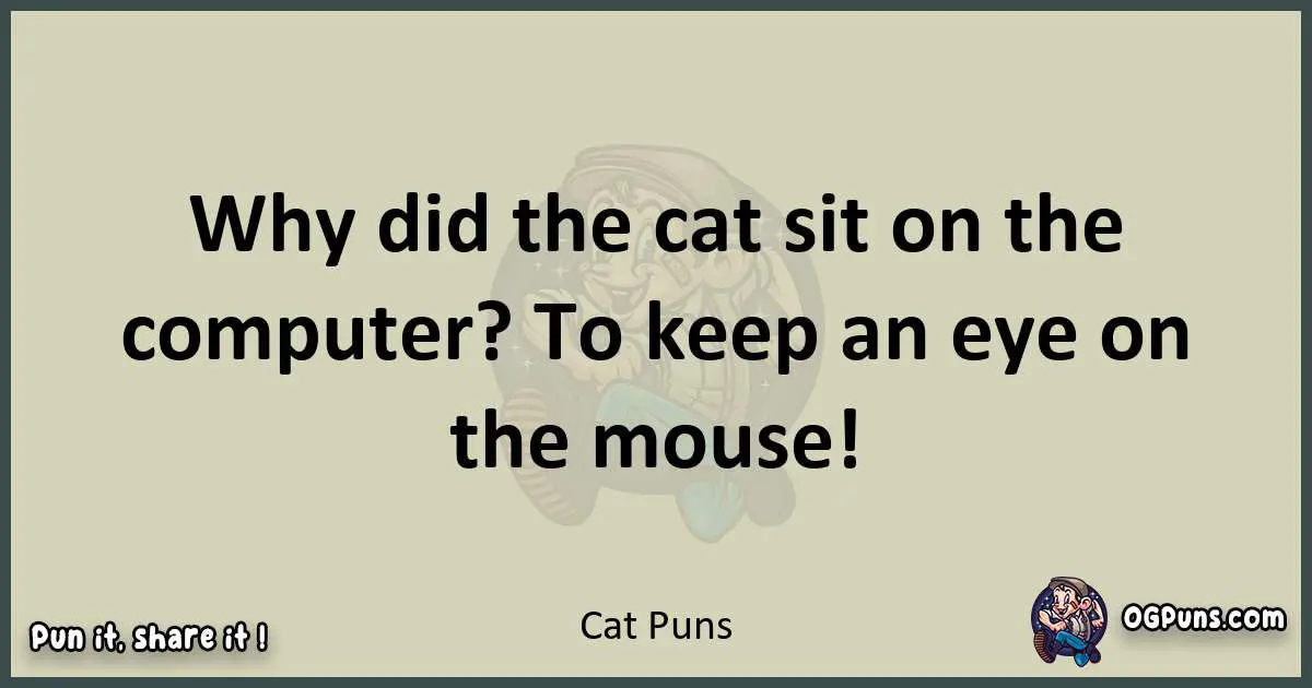 Cat puns text wordplay