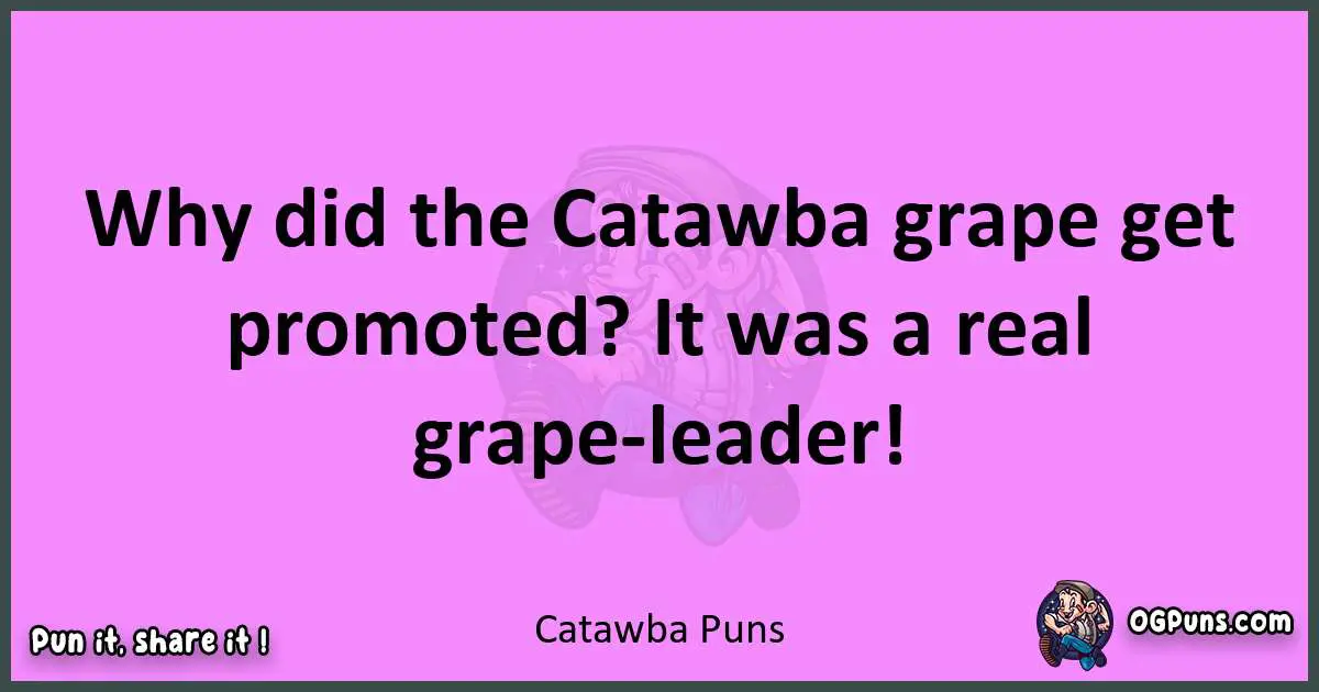 Catawba puns nice pun