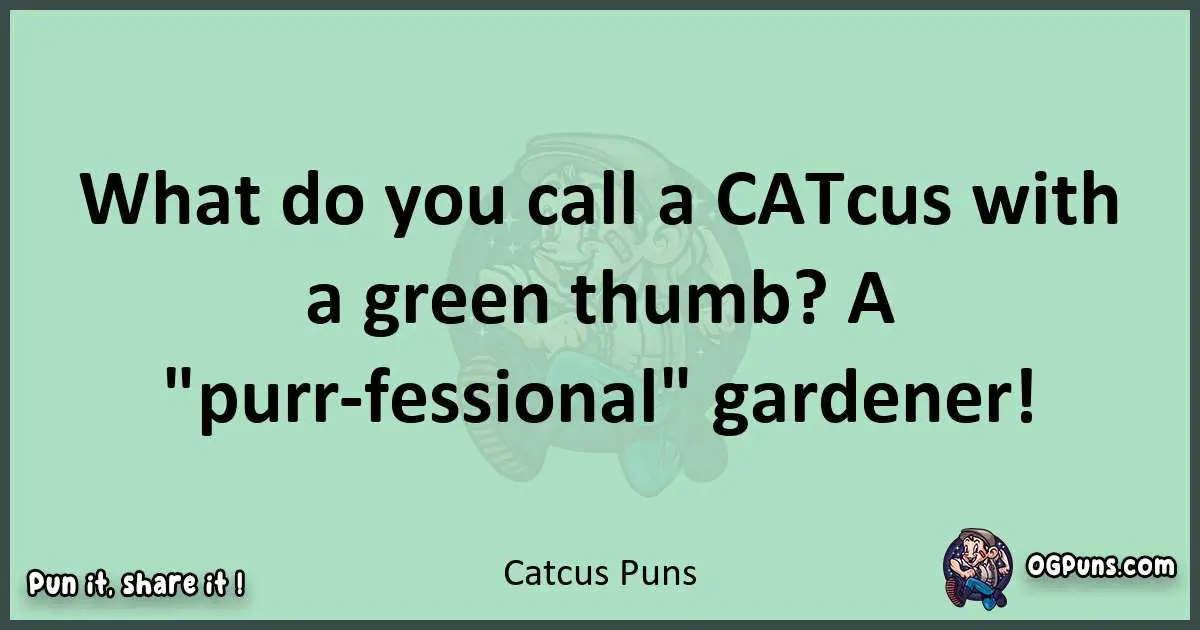 wordplay with Catcus puns