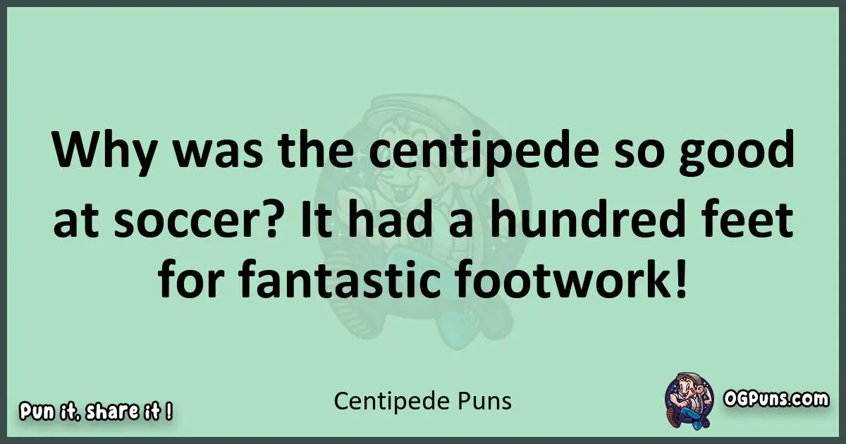 wordplay with Centipede puns