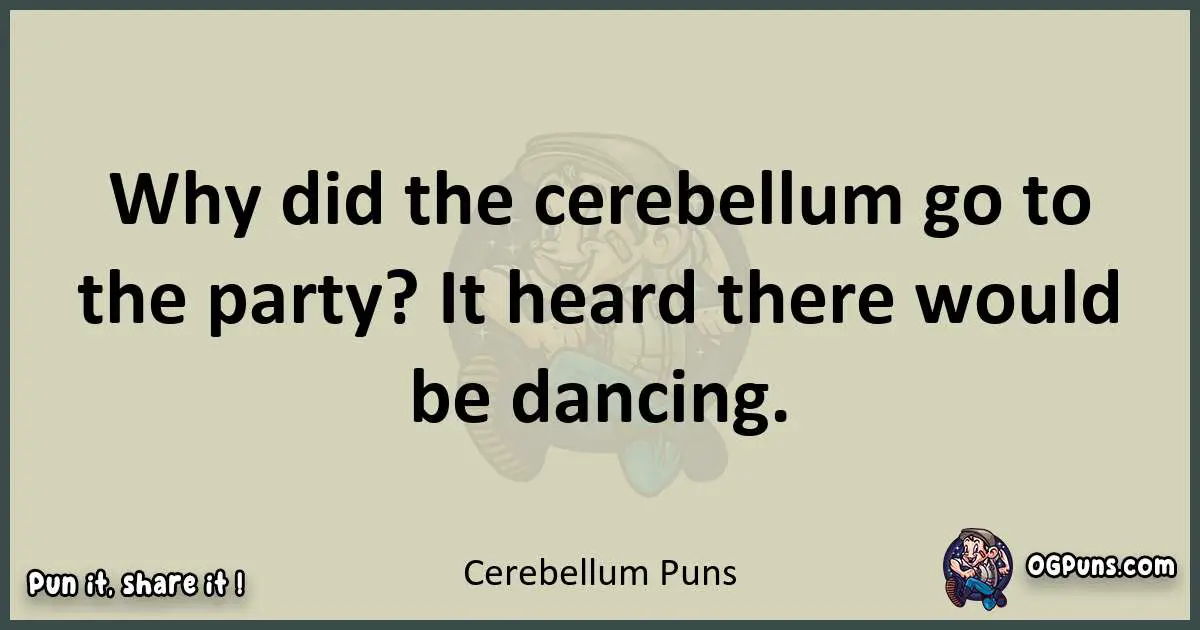 Cerebellum puns text wordplay