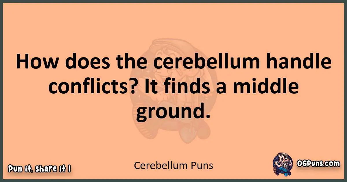 pun with Cerebellum puns