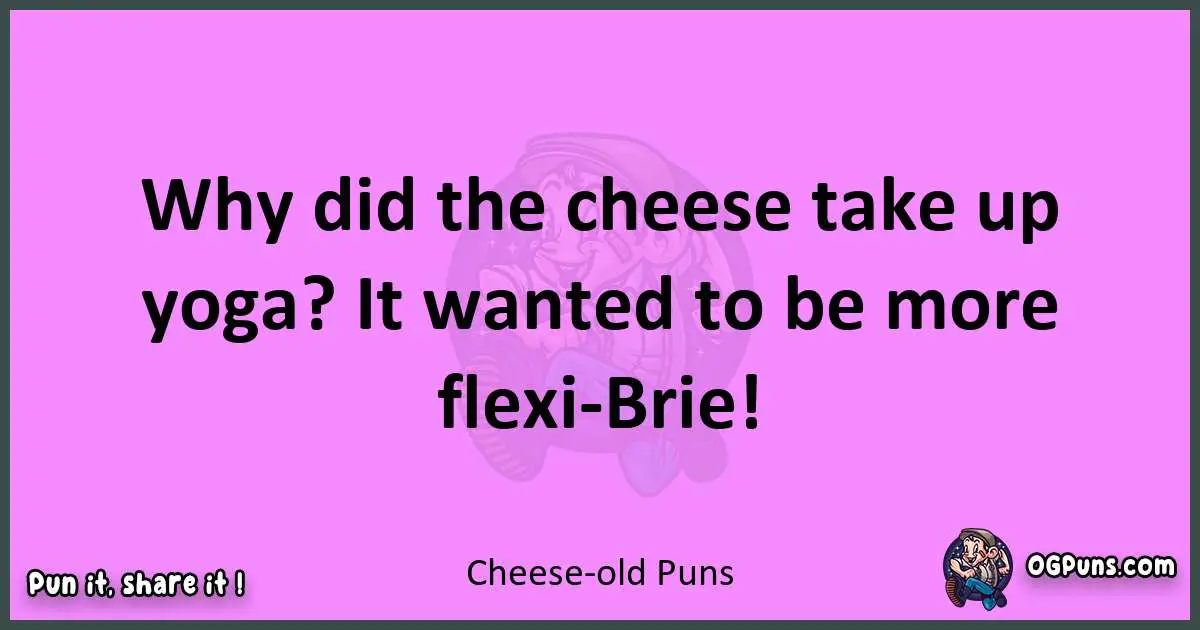 Cheese -old puns nice pun