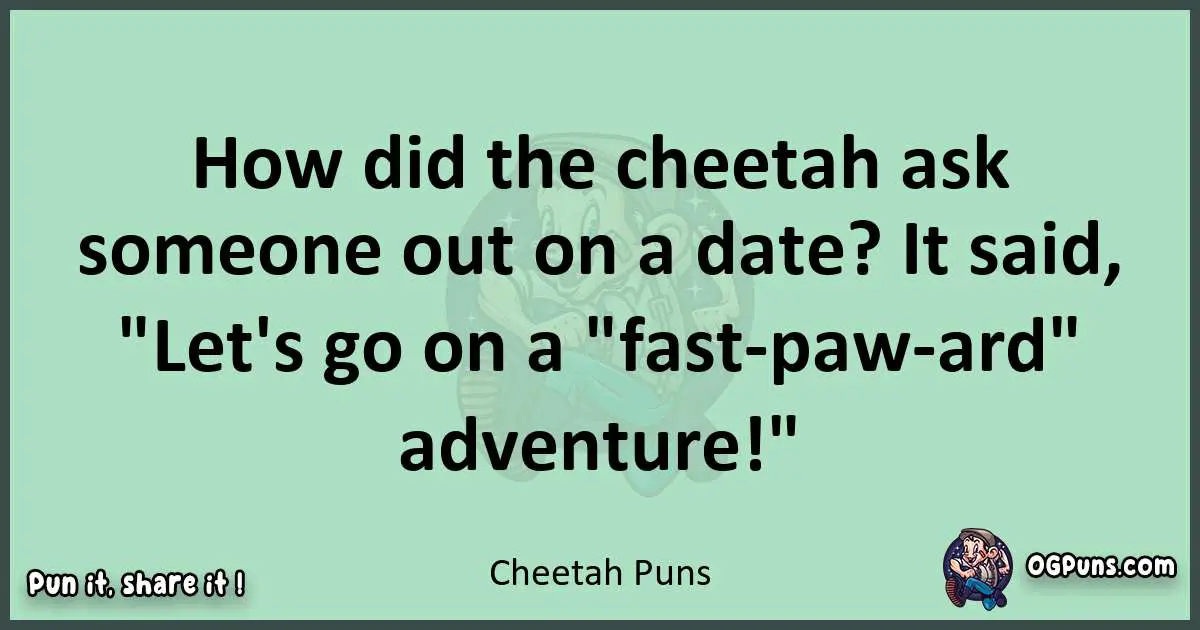 wordplay with Cheetah puns