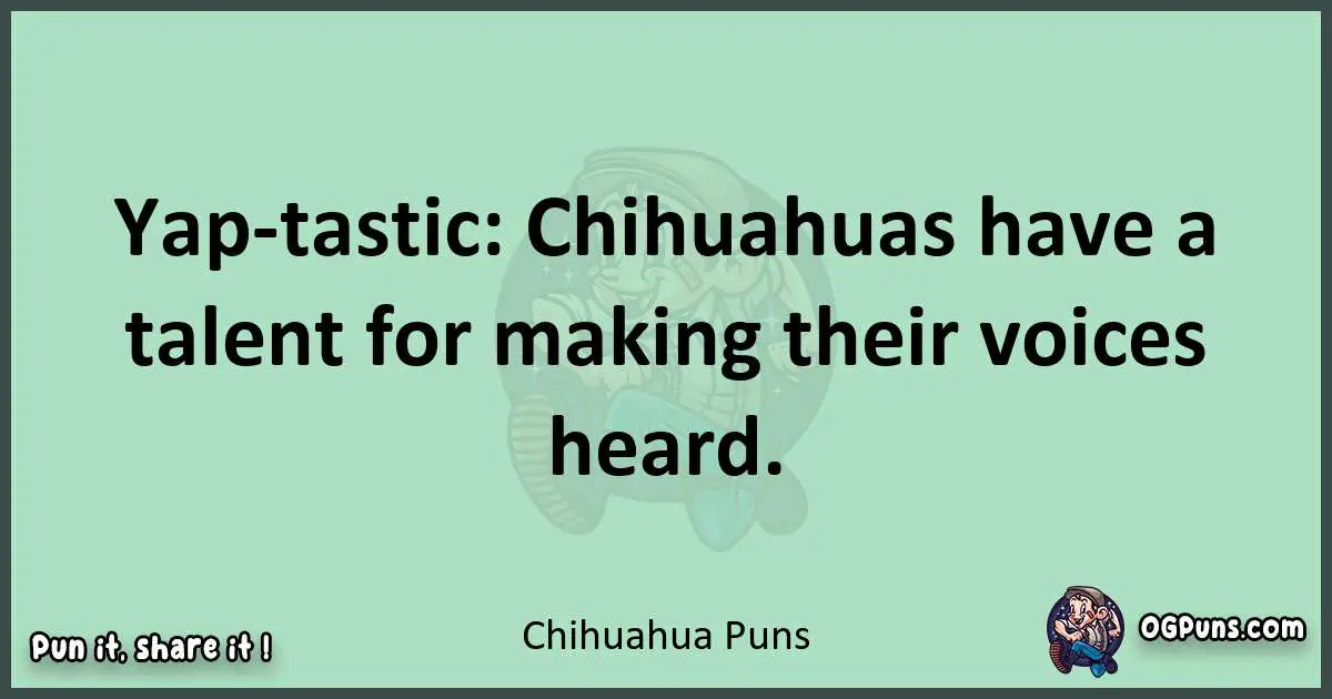 wordplay with Chihuahua puns