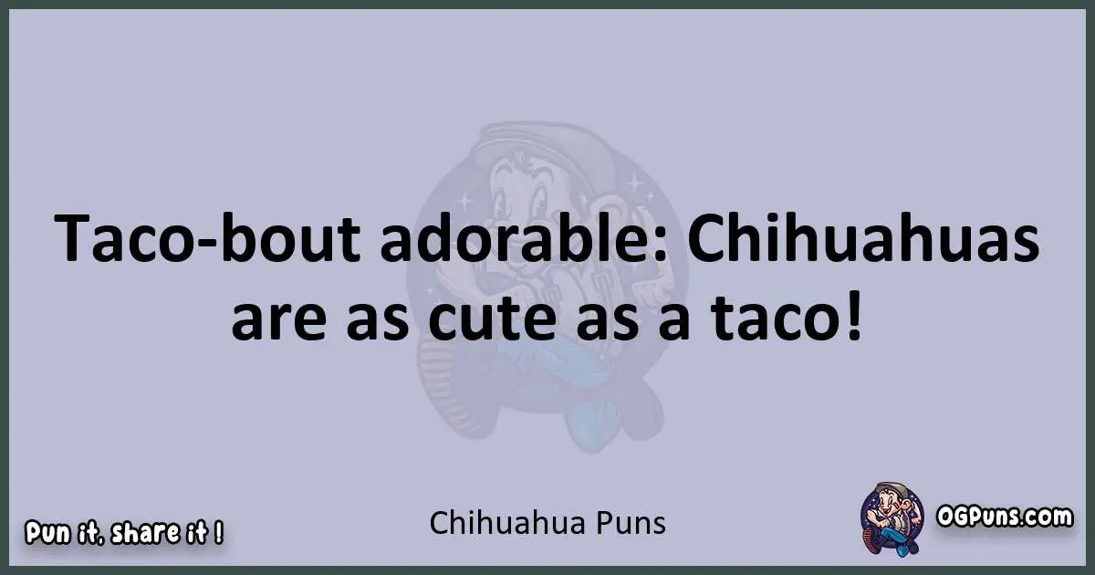 Textual pun with Chihuahua puns