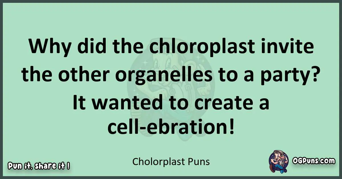 wordplay with Cholorplast puns