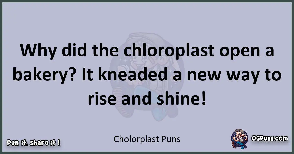 Textual pun with Cholorplast puns