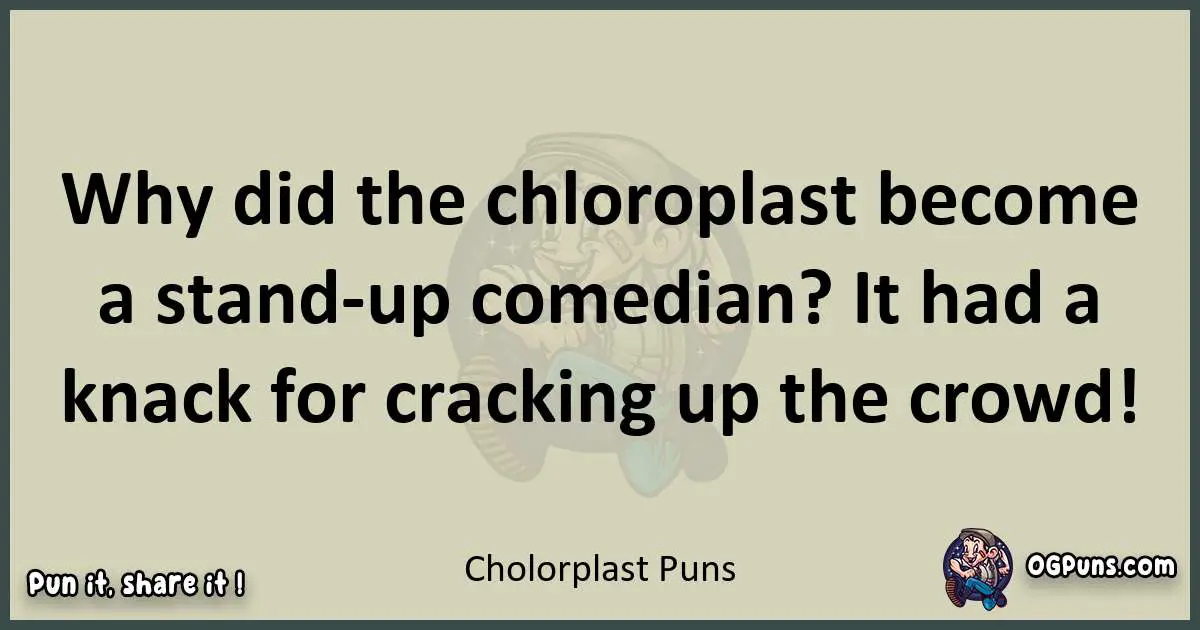 Cholorplast puns text wordplay