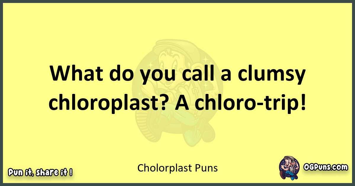 Cholorplast puns best worpdlay