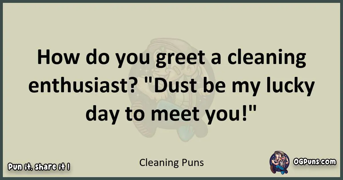 Cleaning puns text wordplay