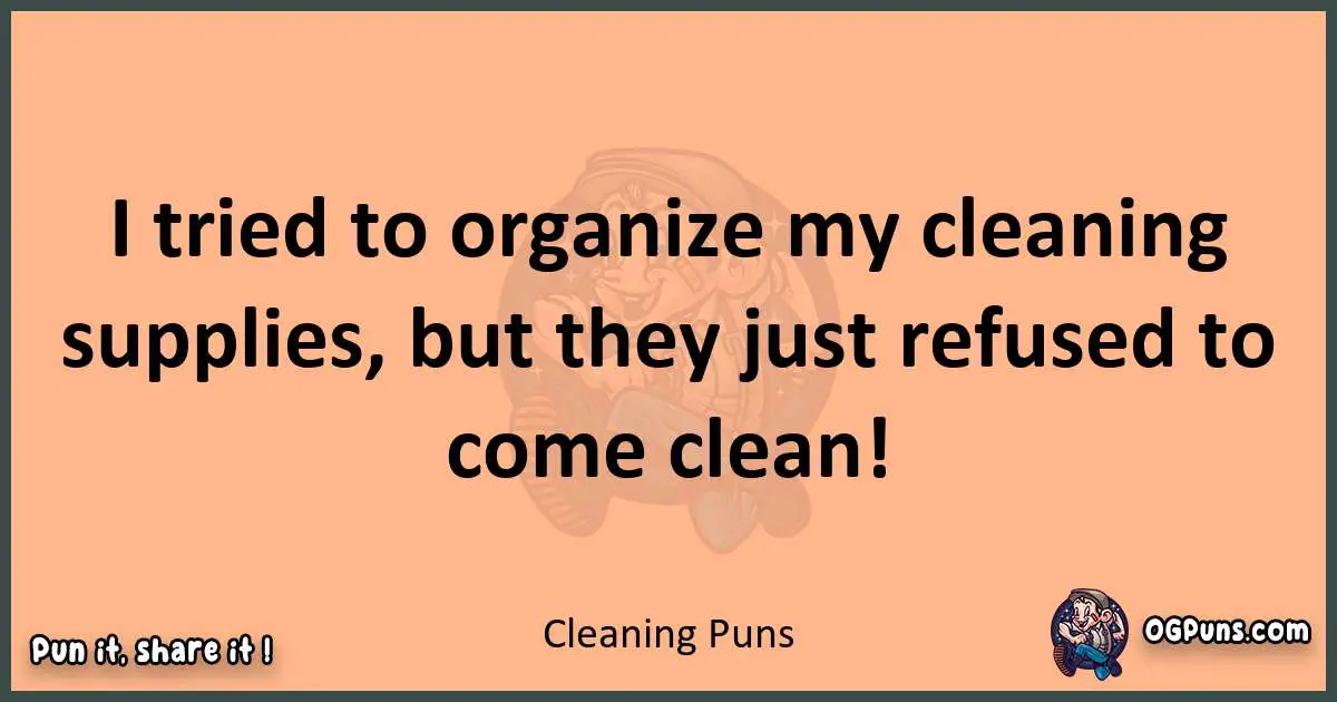 pun with Cleaning puns