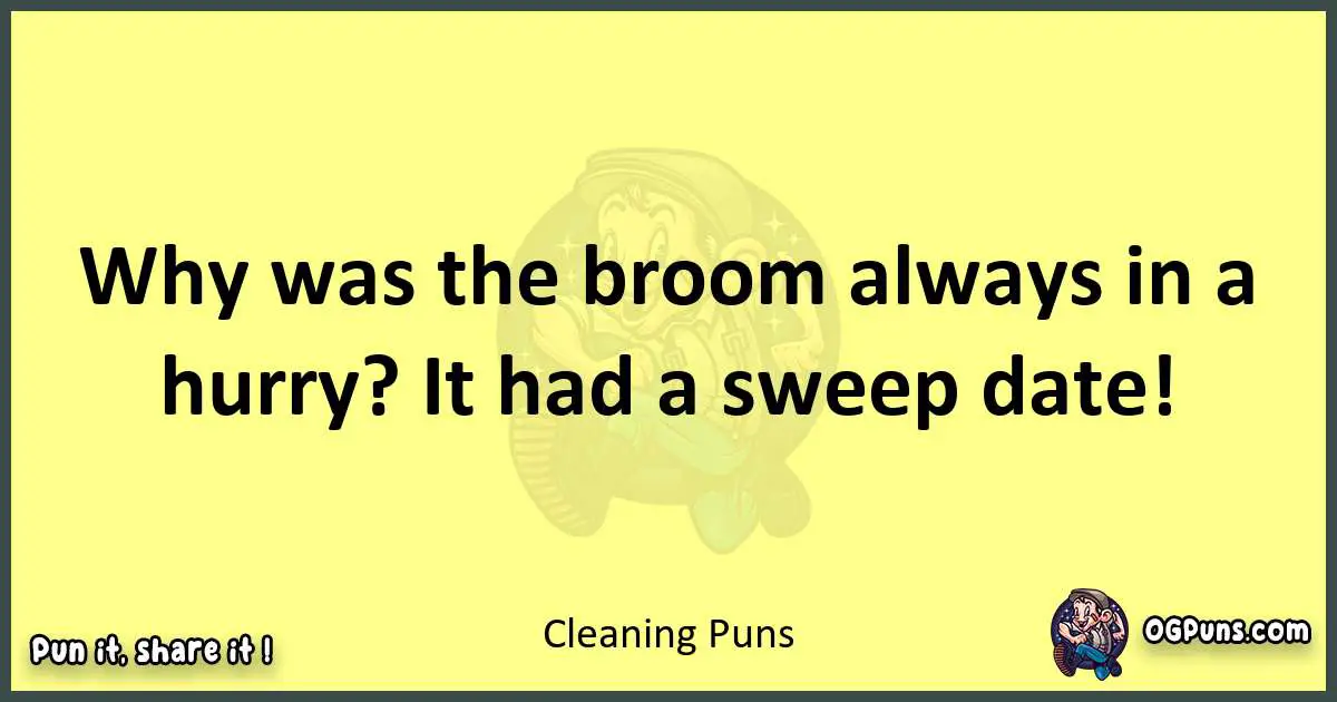 Cleaning puns best worpdlay