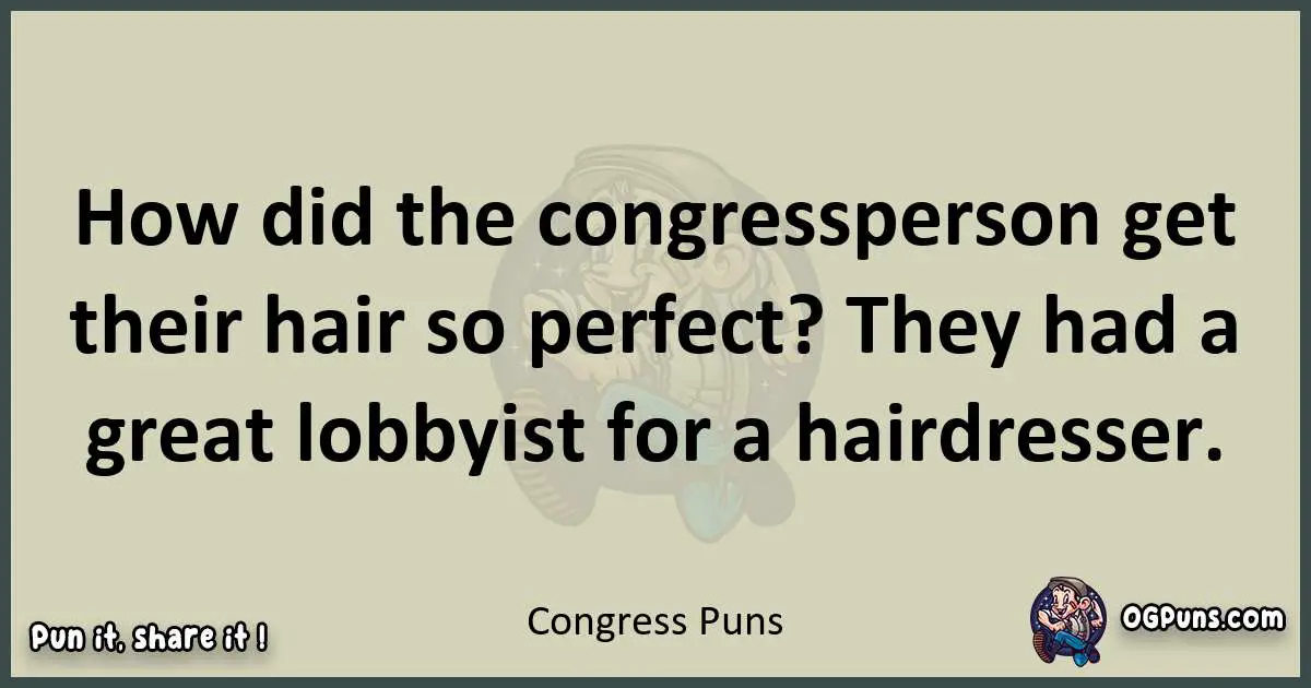 Congress puns text wordplay