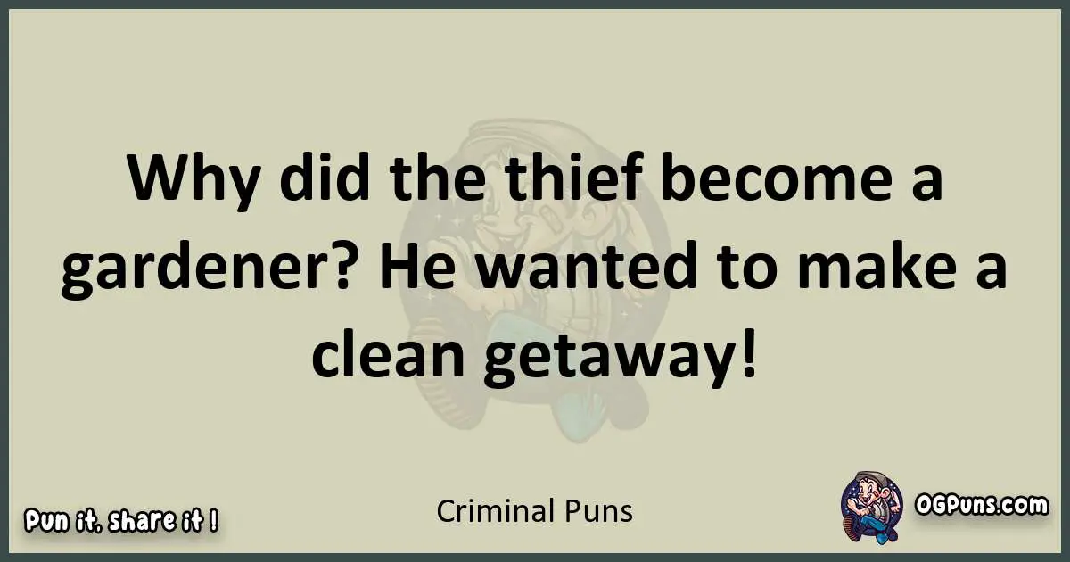 Criminal puns text wordplay
