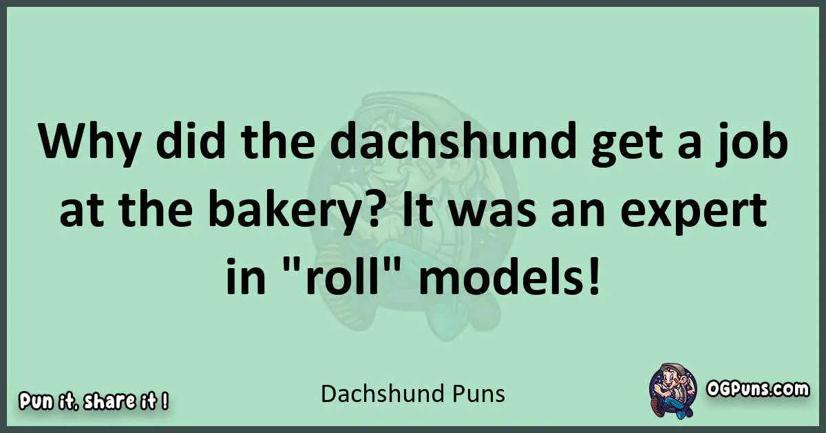 wordplay with Dachshund puns