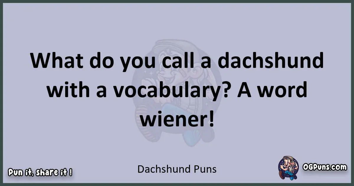 Textual pun with Dachshund puns