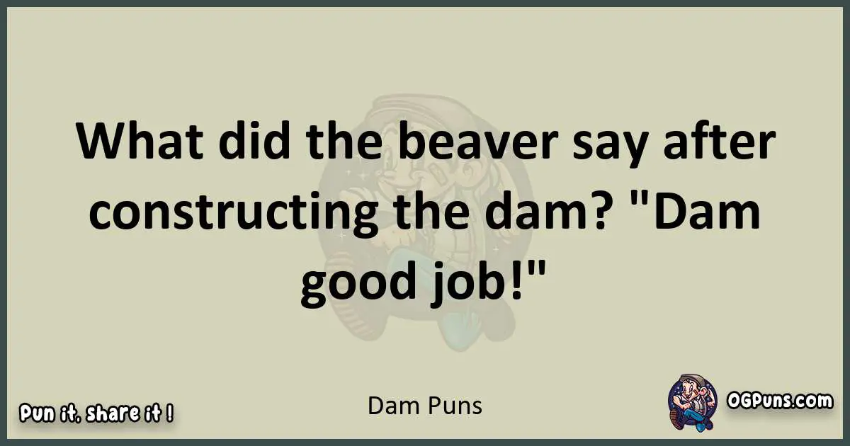 Dam puns text wordplay