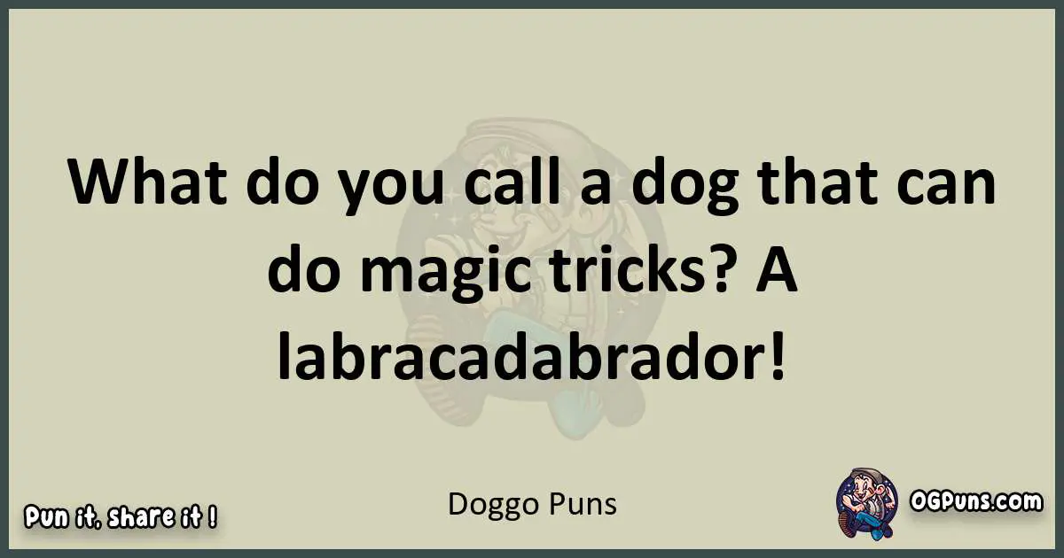 Doggo puns text wordplay