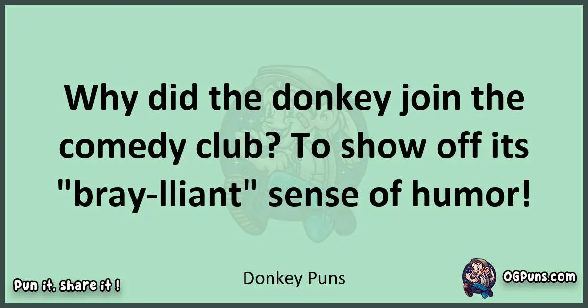 wordplay with Donkey puns