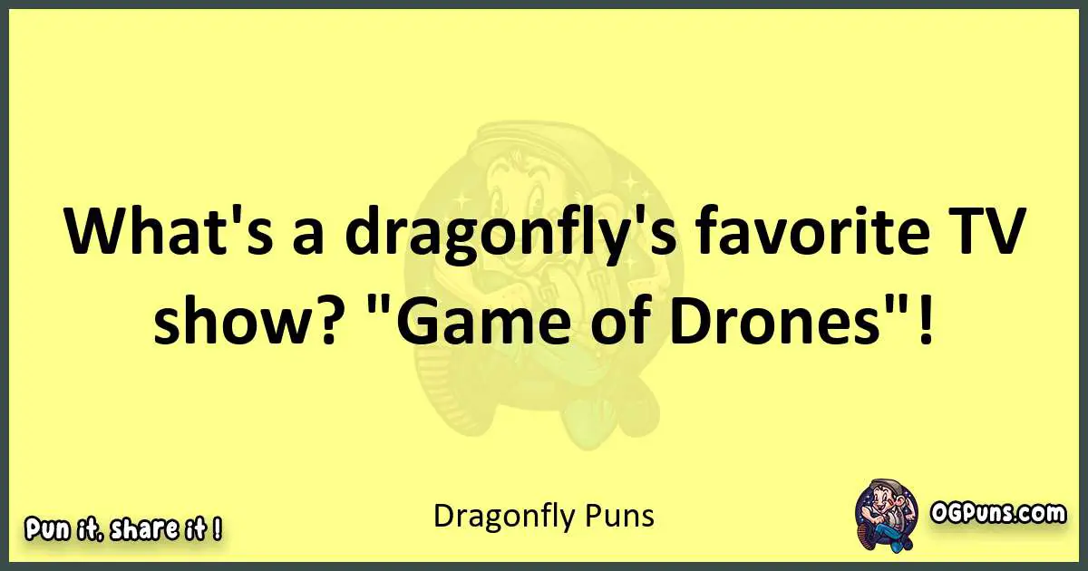 Dragonfly puns best worpdlay