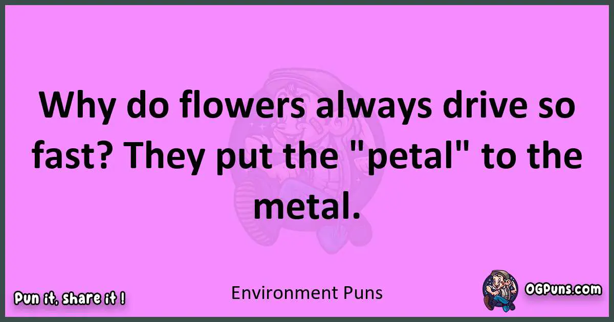 Environment puns nice pun