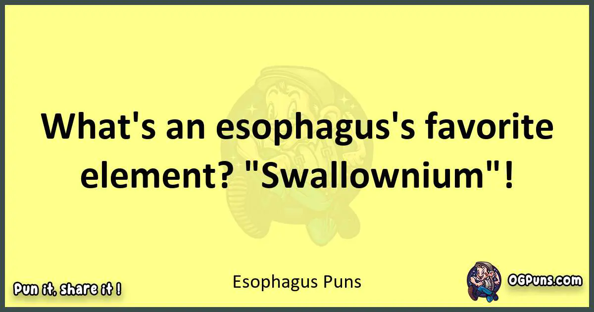 Esophagus puns best worpdlay