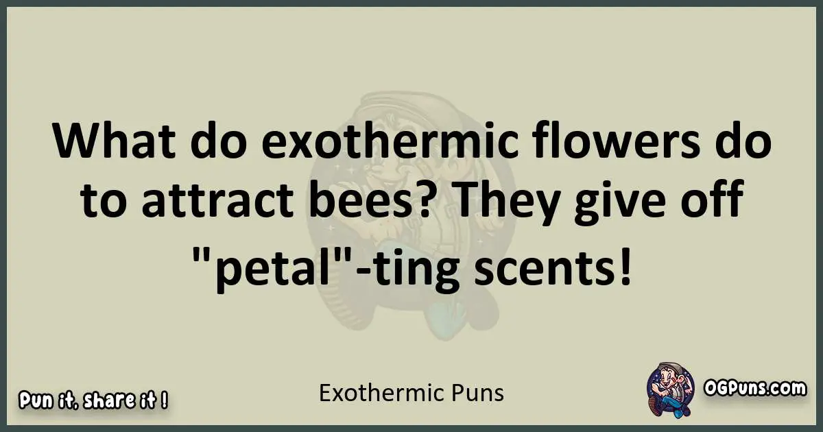 Exothermic puns text wordplay