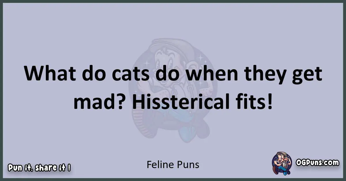 Textual pun with Feline puns