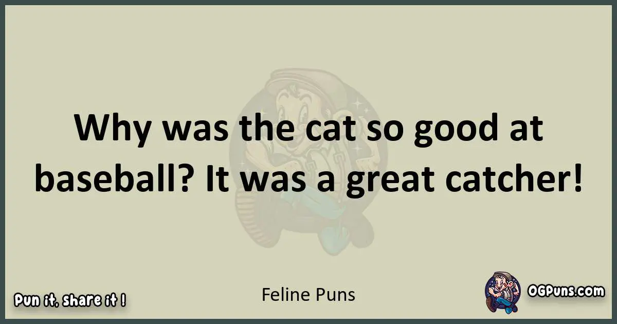Feline puns text wordplay