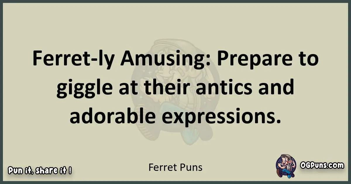 Ferret puns text wordplay
