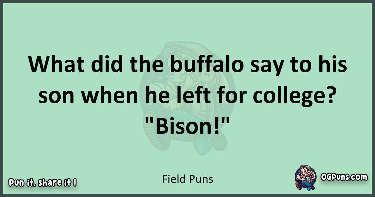 wordplay with Field puns