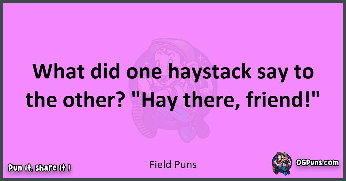 Field puns nice pun