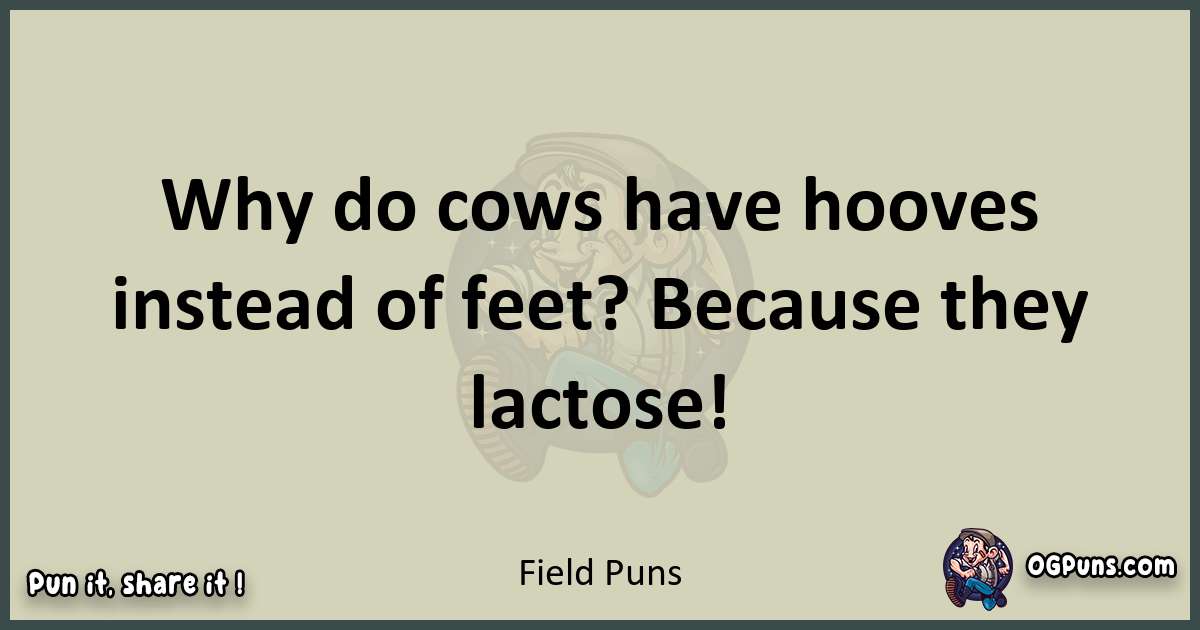 Field puns text wordplay