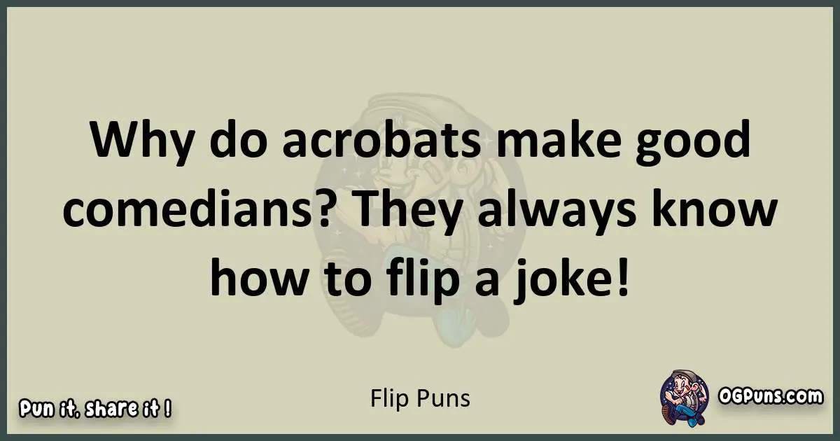 Flip puns text wordplay