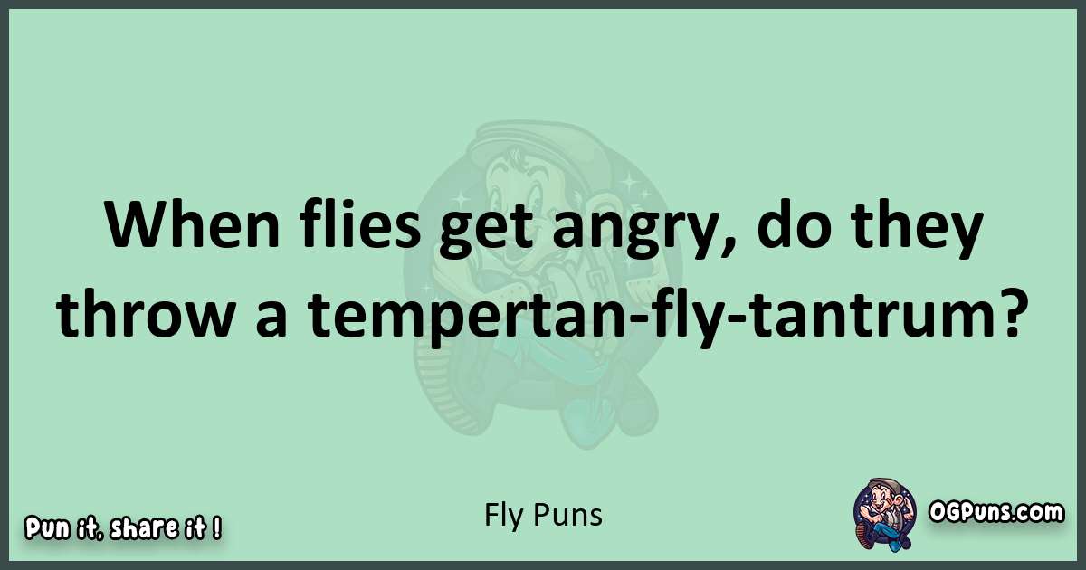 wordplay with Fly puns