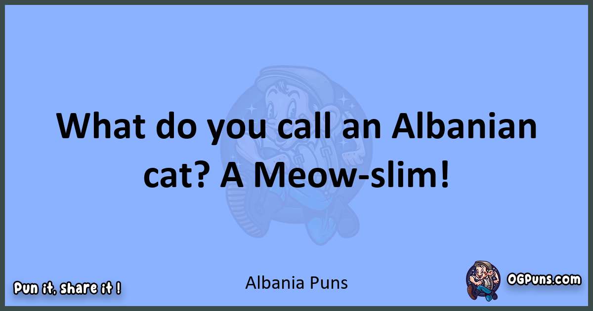 pun about Albania puns