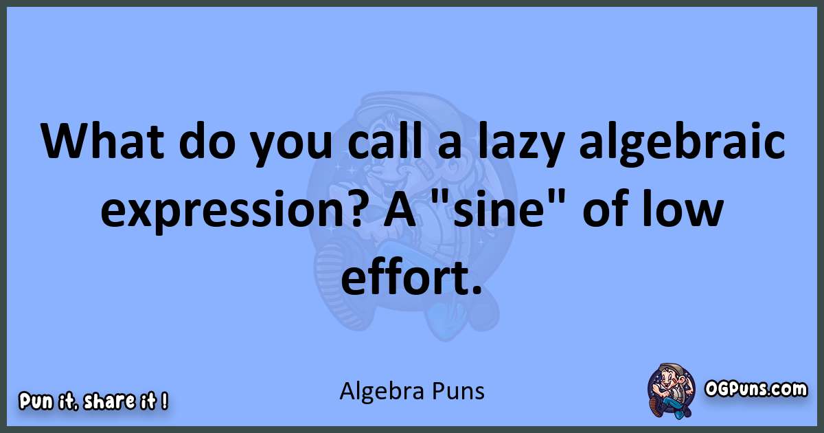 pun about Algebra puns