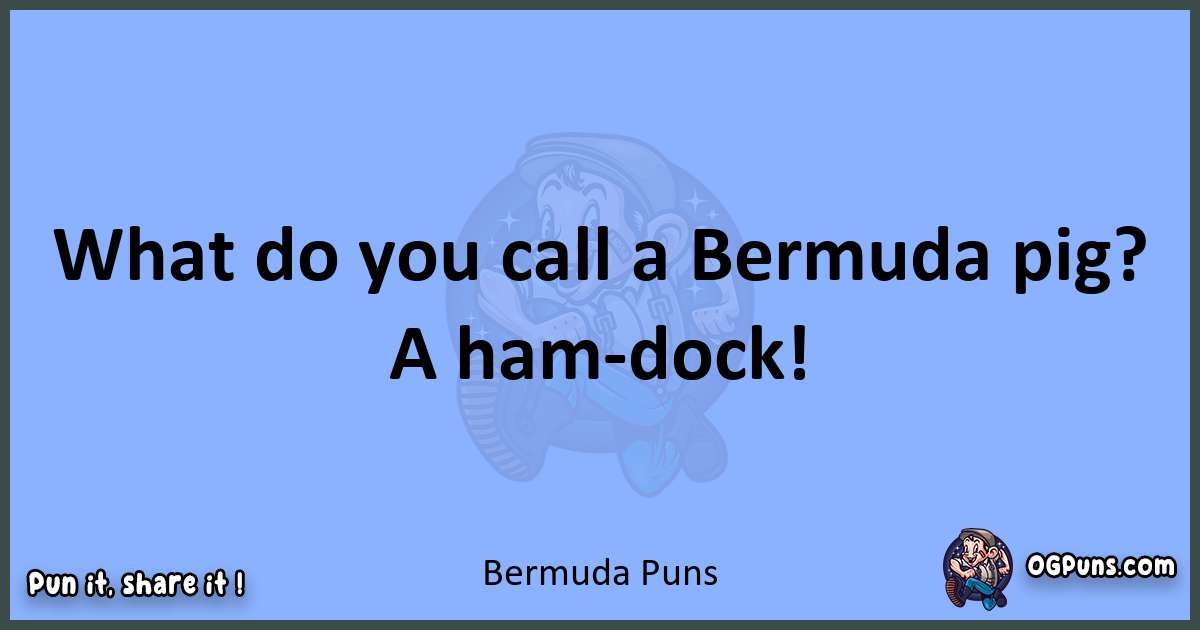 pun about Bermuda puns