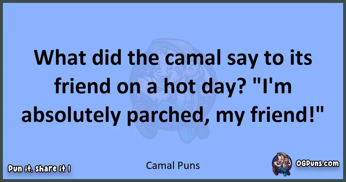 pun about Camal puns